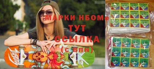 ECSTASY Покачи