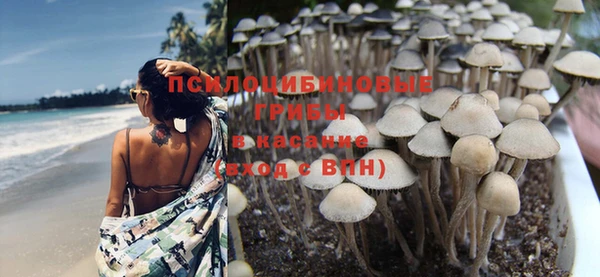 кокс Алексеевка