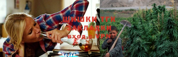 прущие крисы Алзамай