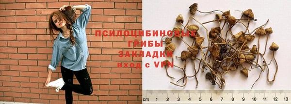 прущие крисы Алзамай