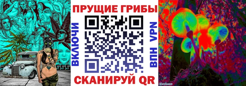 блэк спрут ссылка купить наркотики сайты Заволжск Галлюциногенные грибы Psilocybine cubensis
